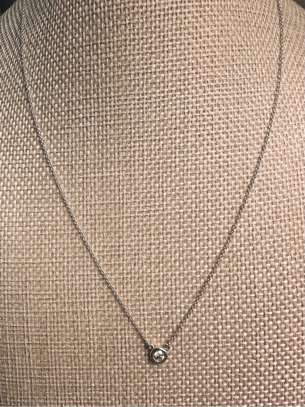 AUTHENTIC Tiffany & Co. Peretti .17 Diamonds by the Yard 16” Silver Pendant - Picture 2 of 15